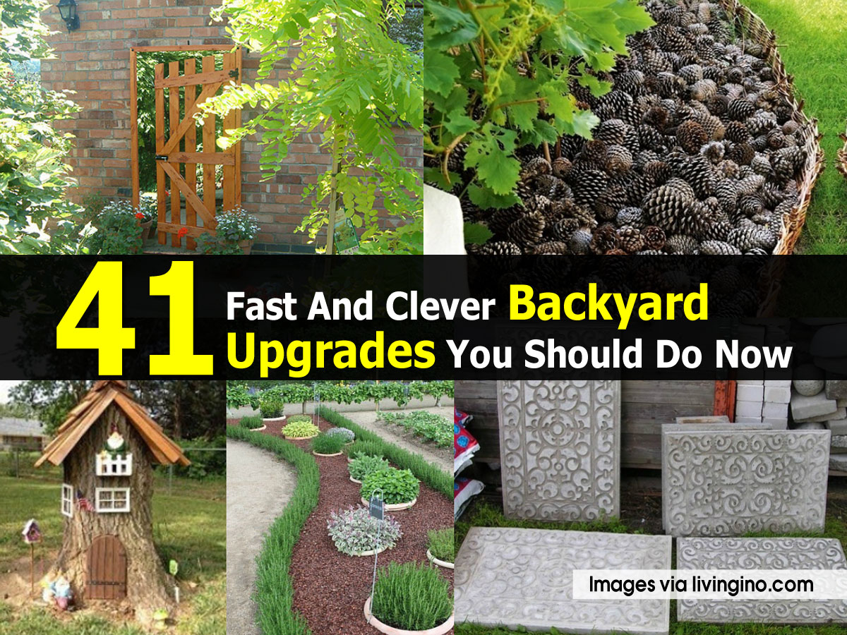 41 Fast And Clever Backyard Upgrades You Should Do Now