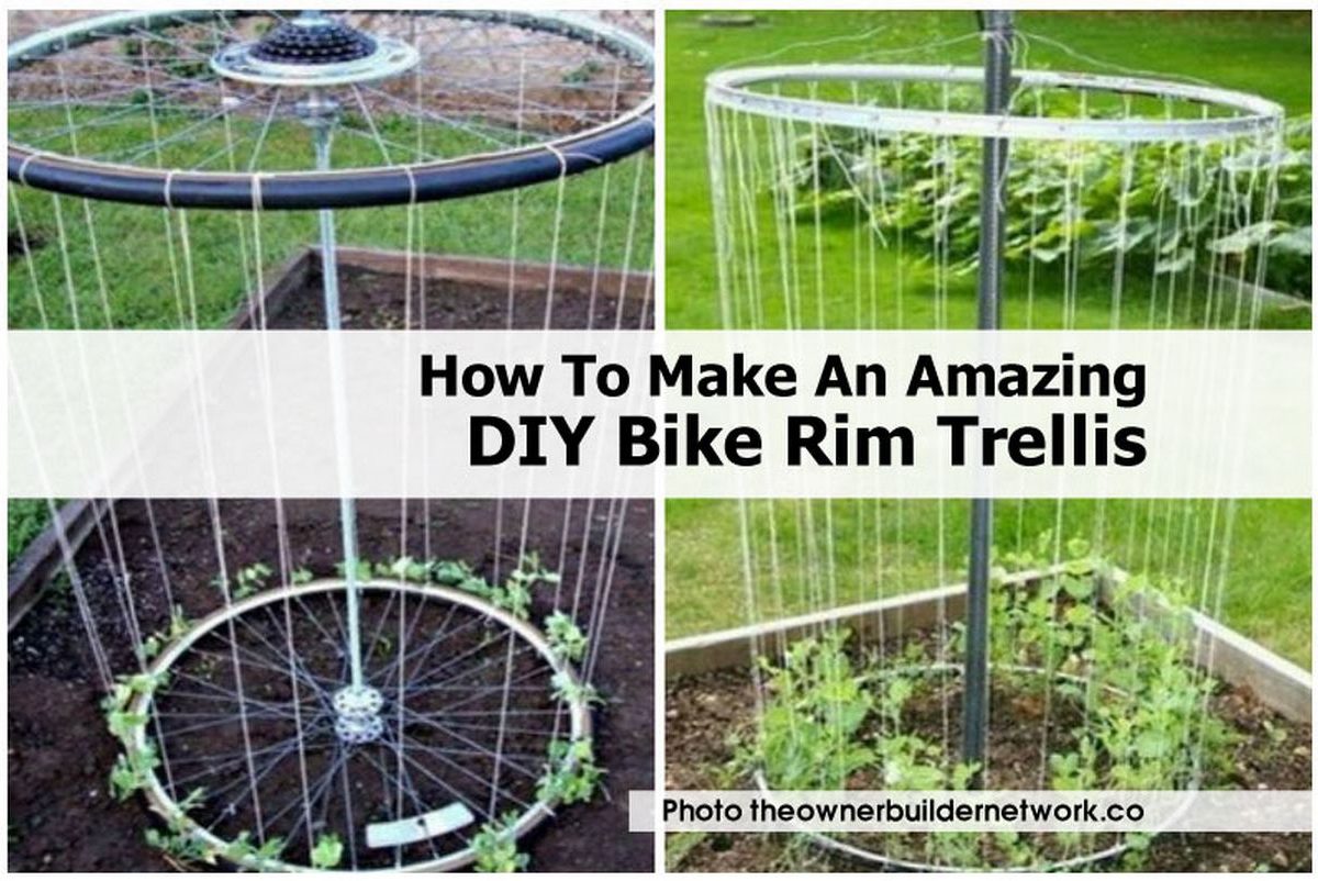 How To Make An Amazing DIY Bike Rim Trellis