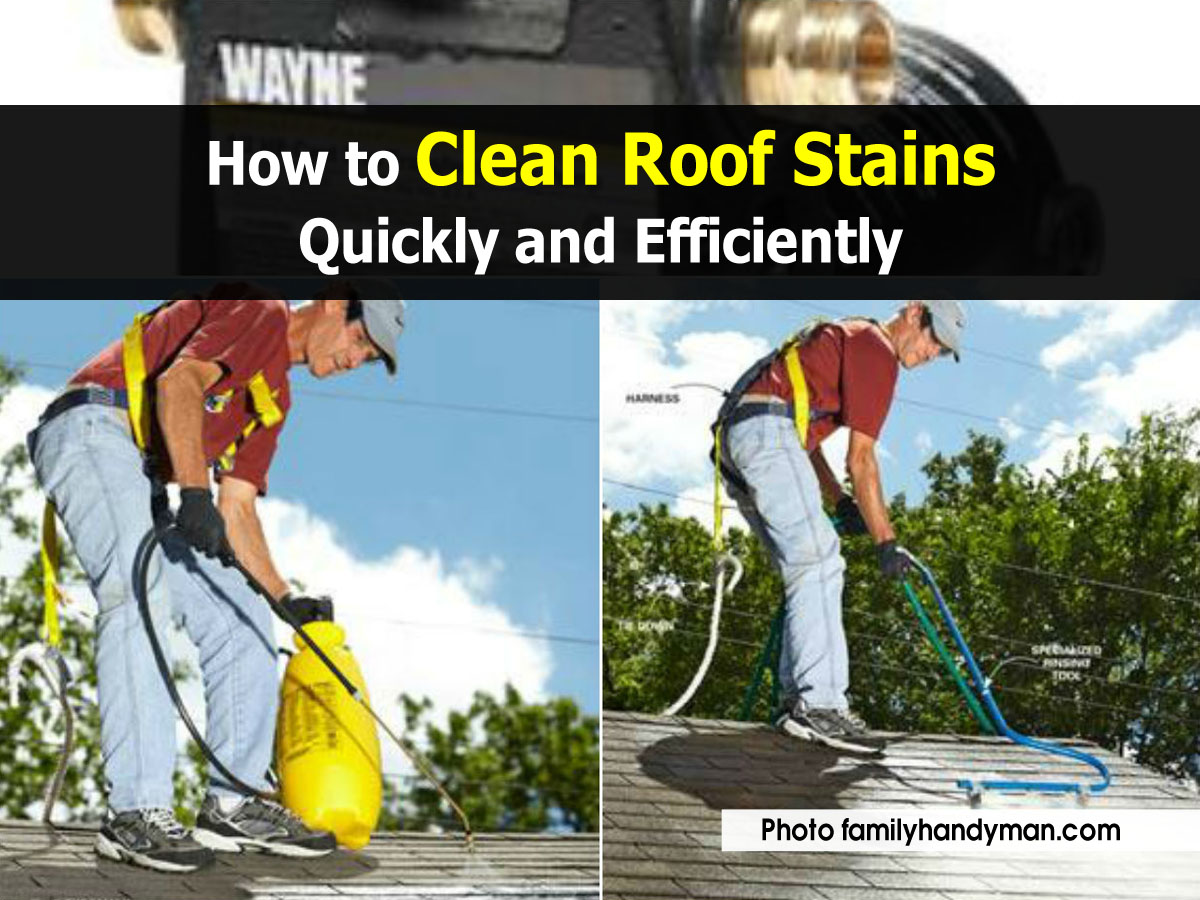 How to Clean Roof Stains Quickly and Efficiently