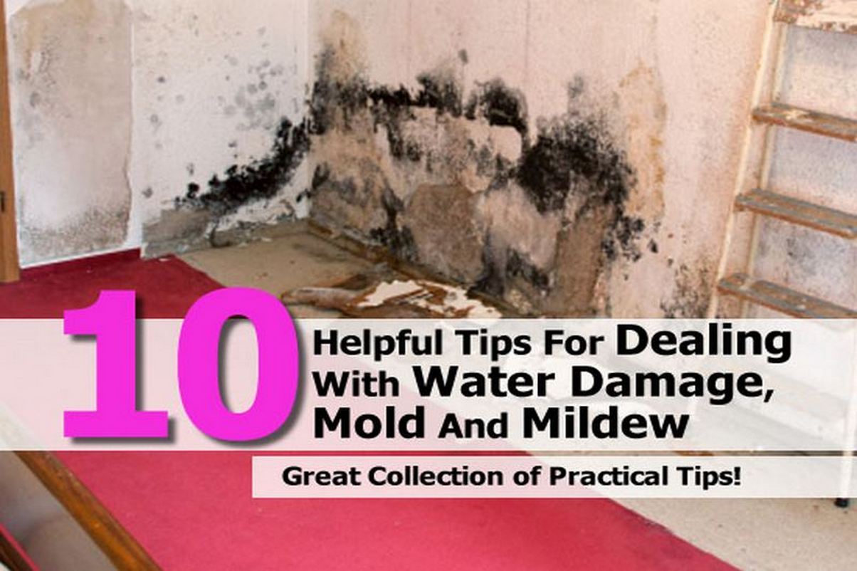10 Helpful Tips For Dealing With Water Damage, Mold And Mildew
