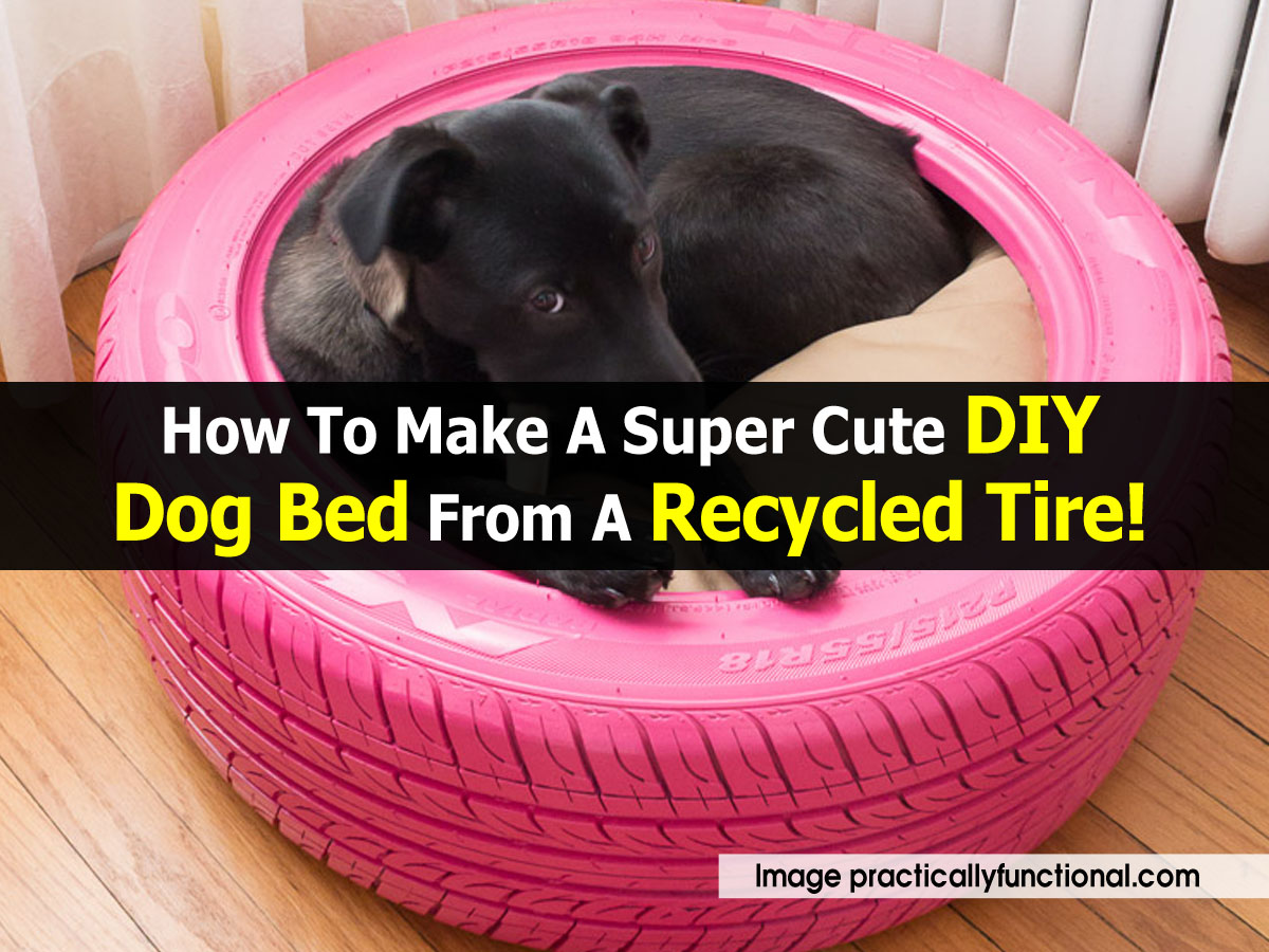 How To Make A Super Cute DIY Dog Bed From A Recycled Tire!