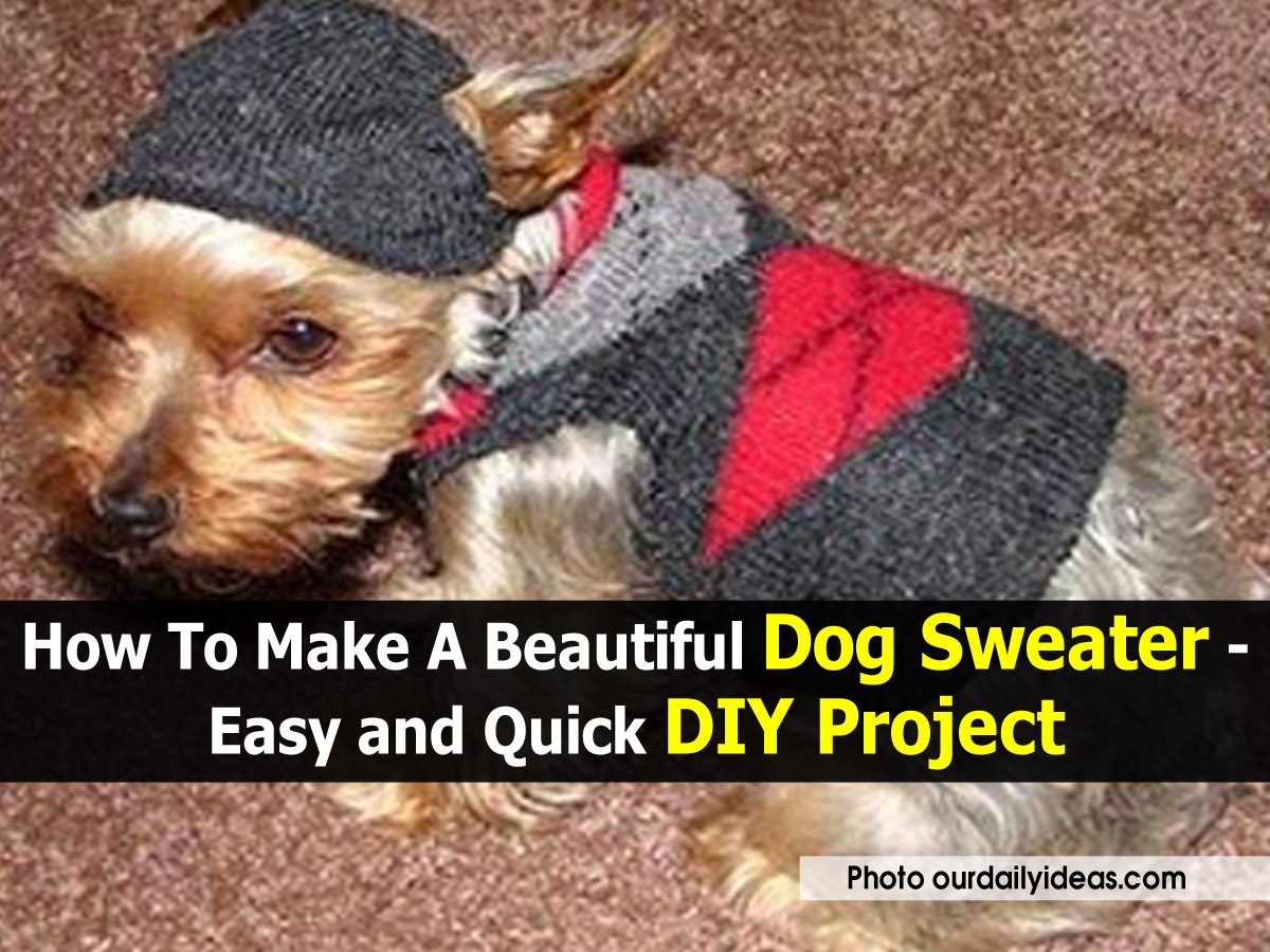 How To Make A Beautiful Dog Sweater Easy and Quick DIY Project