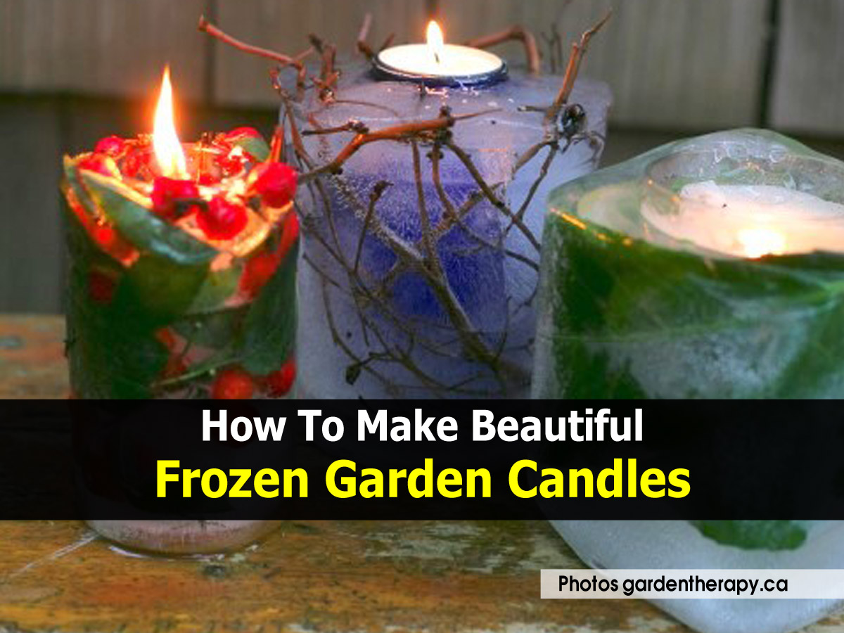 How To Make Beautiful Frozen Garden Candles