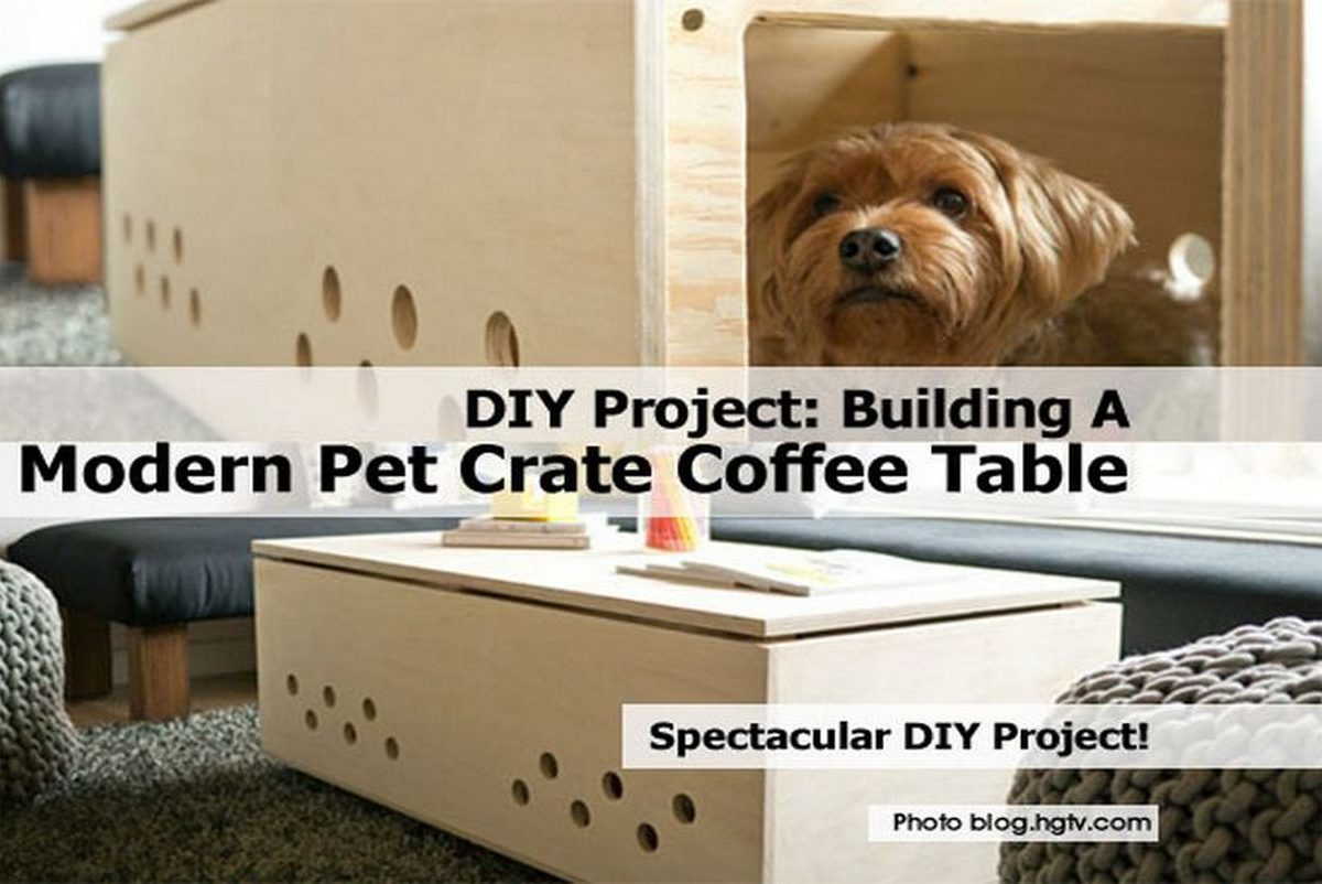 DIY Project Building A Modern Pet Crate Coffee Table