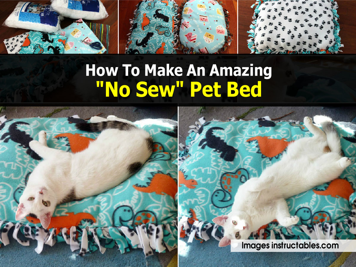 How To Make An Amazing "No Sew" Pet Bed