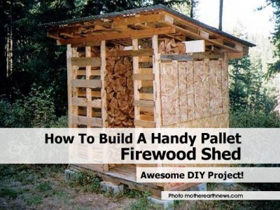 with over 105,000 followers and growing