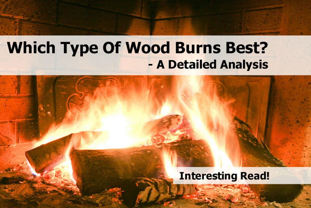 Which Type Of Wood Burns Best? A Detailed Analysis